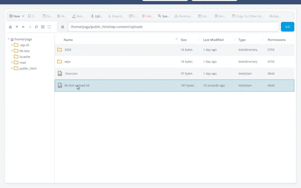 How to Upload Files to SPanel’s File Manager – From Your Computer or a URL, Step-by-step 3