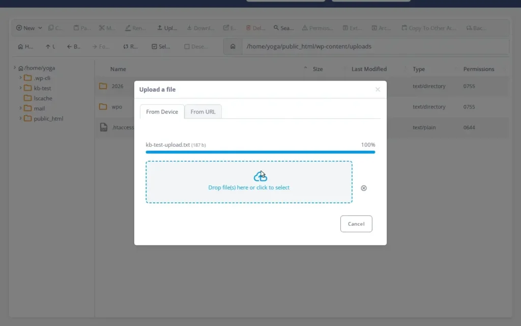 How to Upload Files to SPanel’s File Manager – From Your Computer or a URL, Step-by-step 2