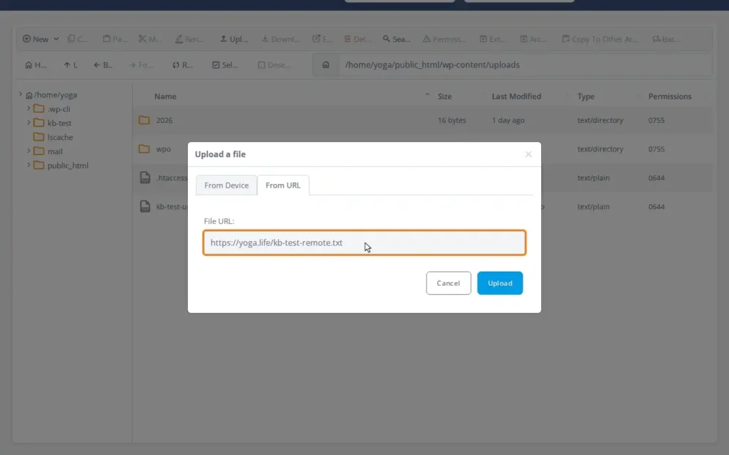 How to Upload Files to SPanel’s File Manager – From Your Computer or a URL, Step-by-step 4