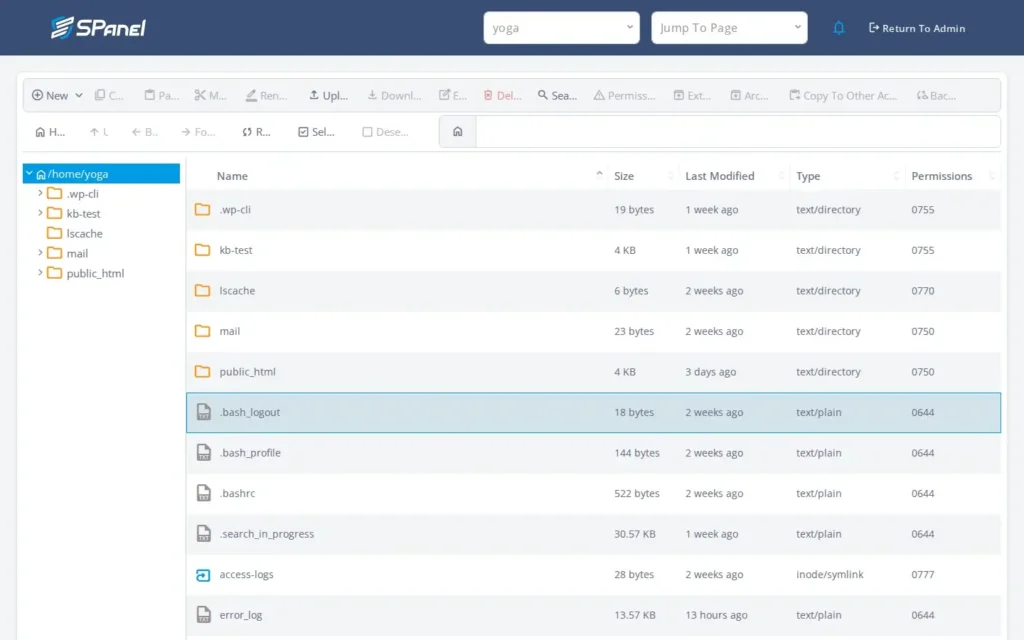 How to Create, Rename, Move, Copy, and Delete Files in SPanel’s File Manager, How SPanel solves this