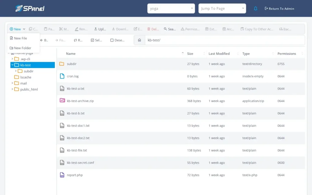 How to Create, Rename, Move, Copy, and Delete Files in SPanel’s File Manager, Step-by-step