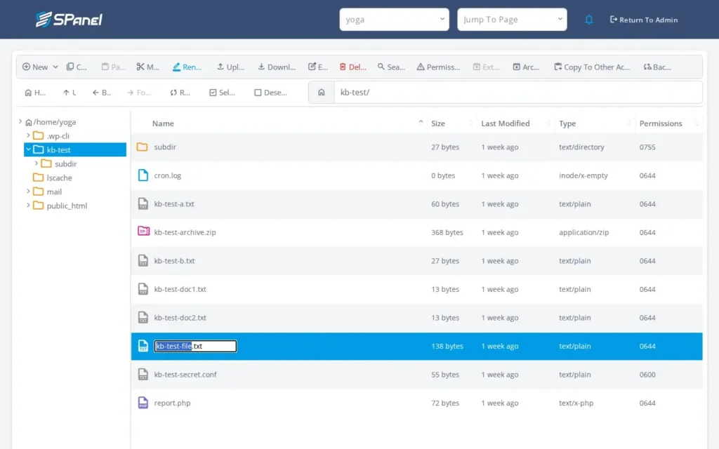 How to Create, Rename, Move, Copy, and Delete Files in SPanel’s File Manager, Step-by-step 2